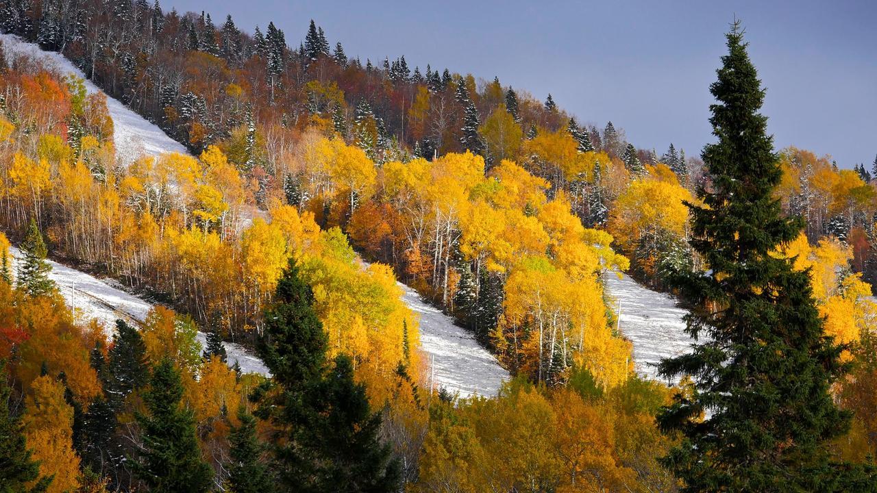 Les Bouleaux - Les Chalets Spa Canada La Malbaie Bagian luar foto